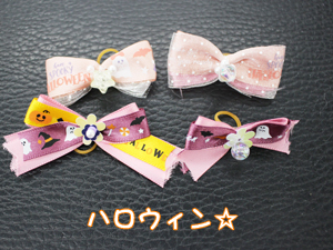 手作りリボンをモデル犬に☆
